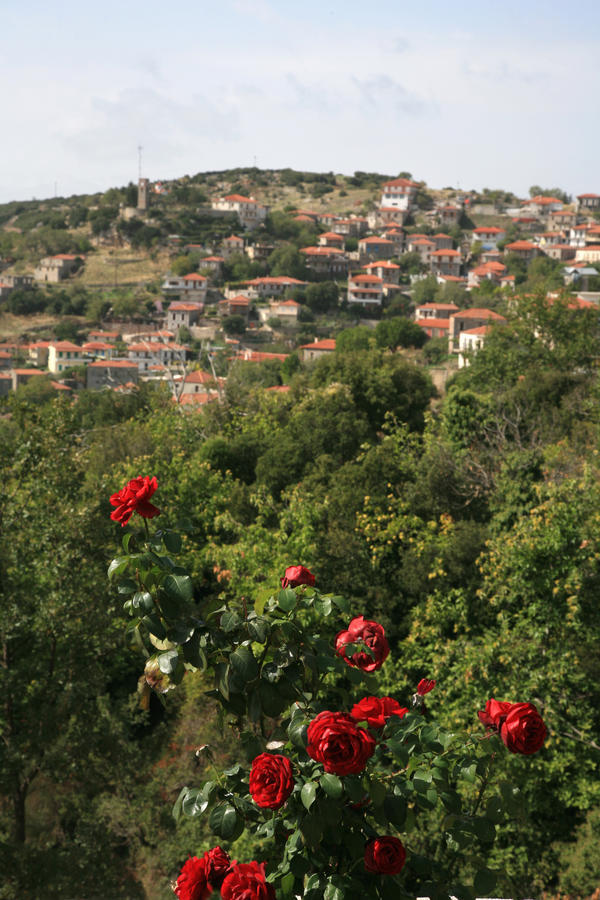 Hôtel Arhontiko Parnona à Karyes Extérieur photo