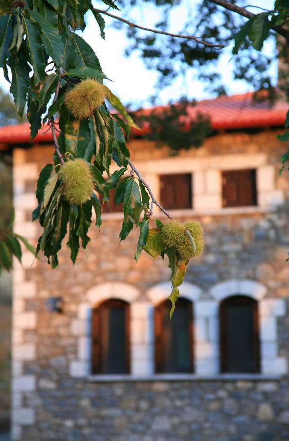 Hôtel Arhontiko Parnona à Karyes Extérieur photo